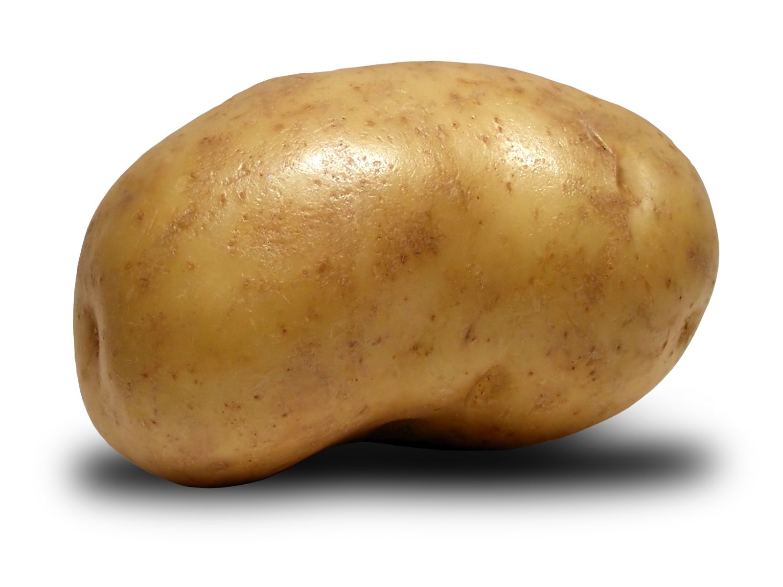 Potato-b